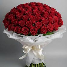 Букет 101 Красная роза Блэк Мэджик в Шатки