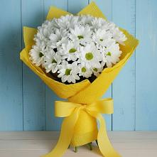 Букет цветов из:  Хризантемы #REPLACE_PRED# Шатки