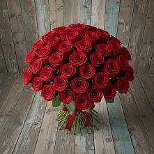 Букет 55 Красных роз Фридом #REPLACE_PRED# Шатки