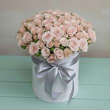 Цветочная композиция из Розы в шляпной коробке #REPLACE_PRED# Шатки