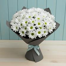 Букет цветов из:  Хризантемы в Шатки