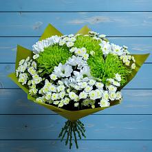 Букет цветов из:  Хризантемы в Шатки