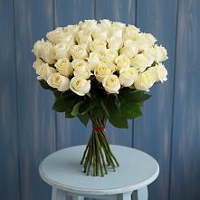 Букет 51 Белая роза Эдлесс Лав #REPLACE_PRED# Шатки