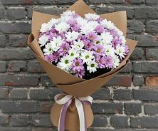 Букет цветов из:  Хризантемы #REPLACE_PRED# Шатки