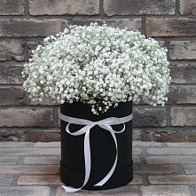 Цветочная композиция из Гипсофила в шляпной коробке в Шатки