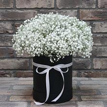 Цветочная композиция из Гипсофила в шляпной коробке в Шатки