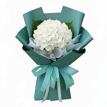Букет цветов из:  Гортензия #REPLACE_PRED# Шатки